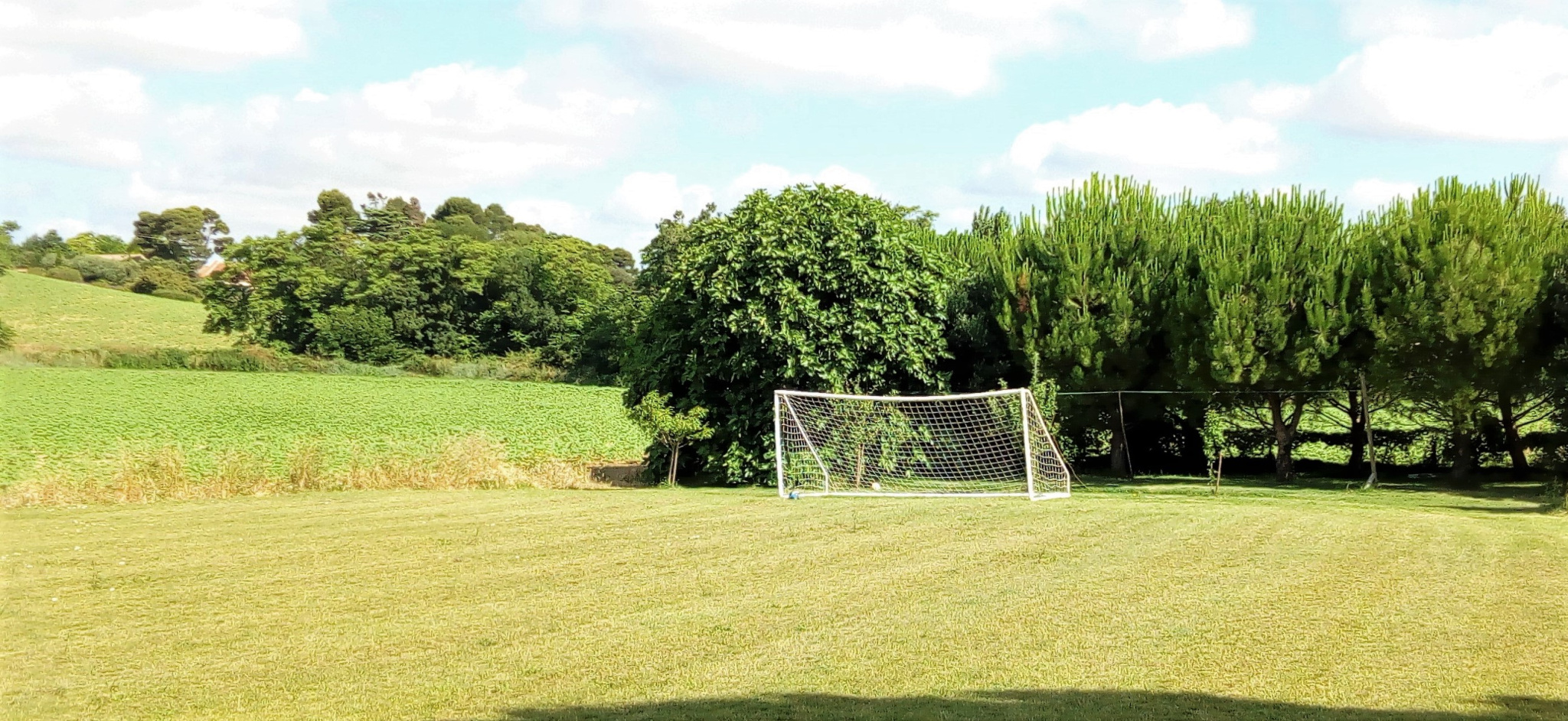 vente MAISON DE CAMPAGNE AVEC PISCINE SUR 1 HECTARE DE TERRAIN